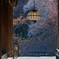 奈良 長谷寺