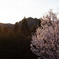 春の夕暮れ