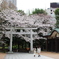 新宿十二社熊野神社
