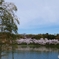 鶴見緑地春の大池 2022