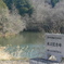岡山の野池