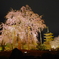 東寺ライトアップ2022