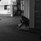 【　　　　】