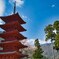 久遠寺　五重塔