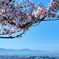 里山　花見ウォーキング　②