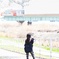 リトル鉄子、撮る。