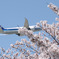 4732D12C-DA48-4B84-A3C4-3CCE922806CC