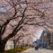 東京都練馬区