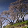 川面の春-1