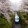 綺麗な電車