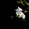 9D7107C0-3EF7-4D23-88D2-516F83D3372E