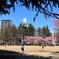 錦町公園