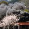 長門峡のやまぐち号