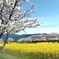 桃源郷に迷い込んだ人々
