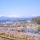 みやぎの春
