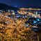 夜桜と尾道のあかり