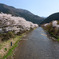 里山の春
