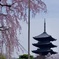 東寺 春景