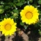 DSCF1393