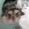 至福のひと時