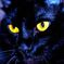YELLOW eyed monster