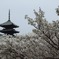 仁和寺
