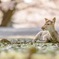 もう、たべれないでちゅ♡