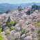 パウダーピンクの季節