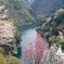 仁淀川町花の里公園