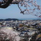 写真エッセイ：桜１：わが町を望む：NTW327