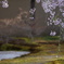 DSC00654