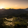 棚田の夕景