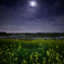 真夜中の月