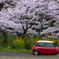 春はMini