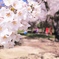 春の陽気に誘われて