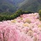 夢の世界