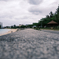 島の春の一コマ