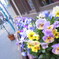 spring color