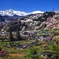 信州小川村の春