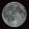色気ムンムン Pink Moon 2022