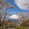 賑やかな春の空