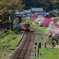 花桃の駅で。九頭竜湖行き