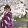 桜の頃
