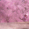 枝垂れ桜に溶け込んで（高見の郷）