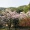 三ツ峠山登山口