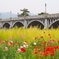 春色の武庫大橋