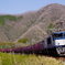 EF64