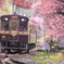 春、駆ける。