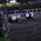 夜の公園とパンダ
