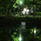 夜の公園